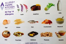 14 Allergens food chart gf.jpg