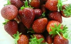 Another Gluten-free cooking for kids recipe