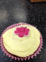 WI cupcake single pink butterfly.JPG gf.jpg