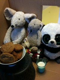 ginger snaps with cuddlies 3.jpg gf.jpg