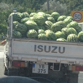 melons cu.JPG