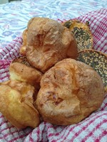 yorkshires 5 gf.jpg